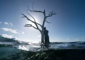 The Solomon Siren (Jason DeCaires Taylor)