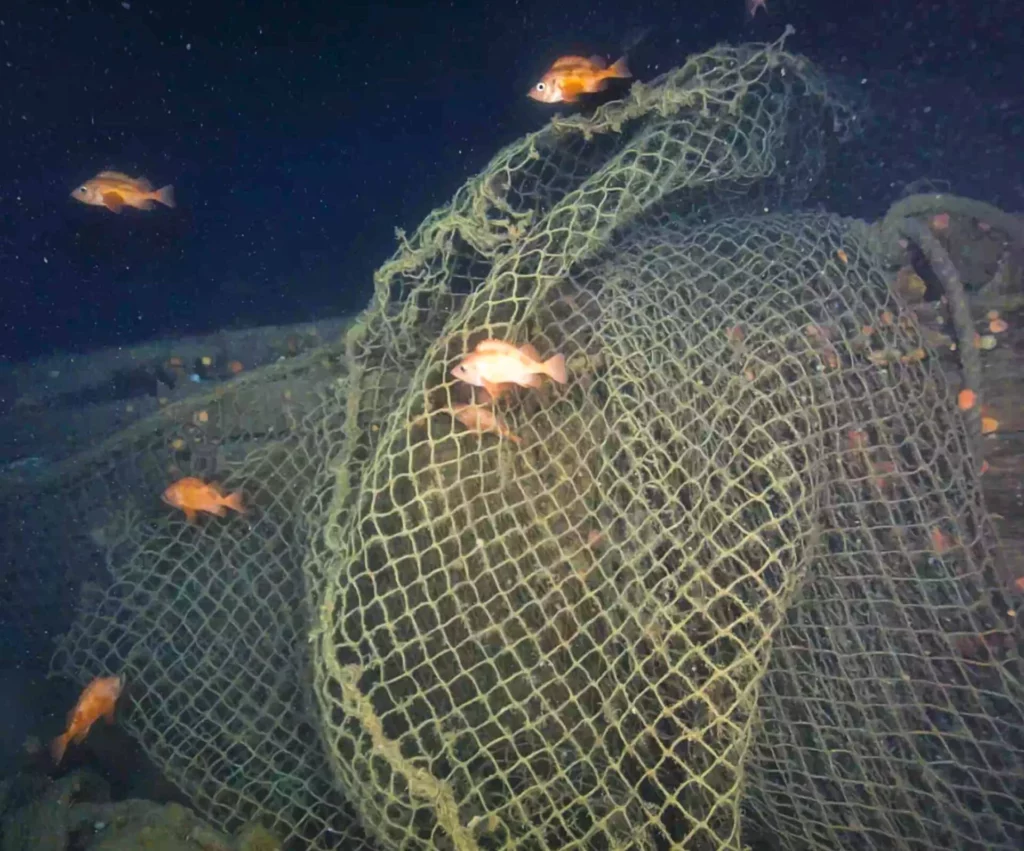 Alvin dives again: First Shackleton’s Quest imaging at 400m 6 Portions of the wreck of Quest are draped in fishing nets (Canadian Geographic & Voyis)