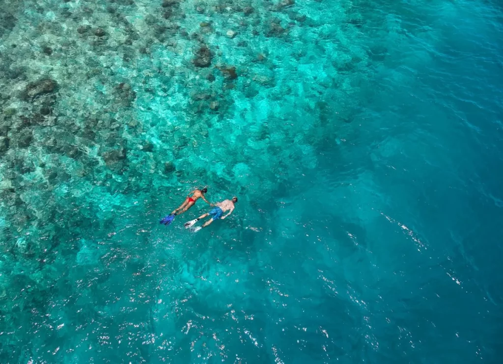 Nova Sorkelling Diving Aerial Medium