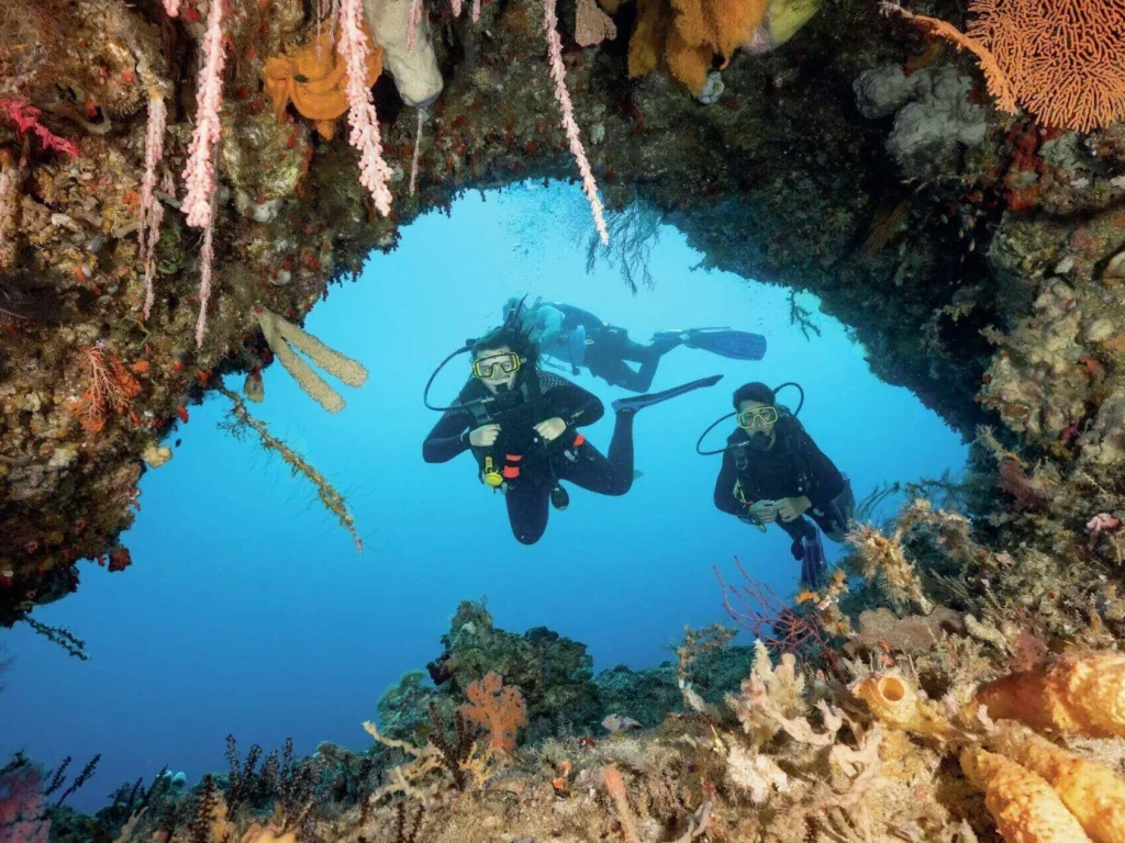 A thriving, colorful vertical marine wall blanketed in healthy soft and hard corals underwater.