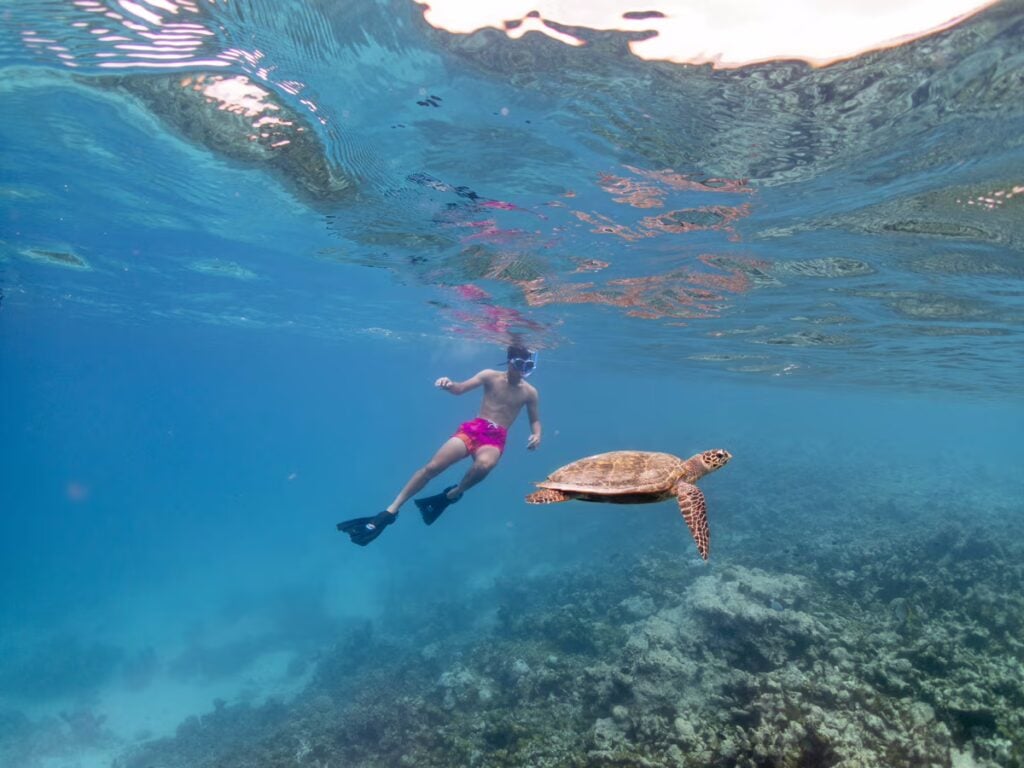 eurodivers underwater21