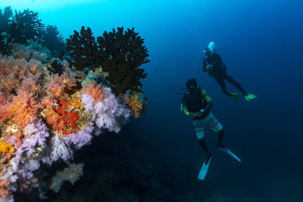 eurodivers underwater6