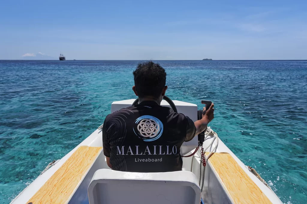 North Halmahera Diving Expedition 7 image 1 1