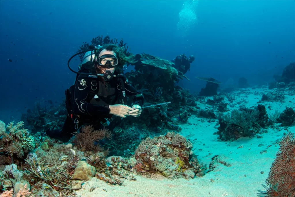 North Halmahera Diving Expedition 1 image