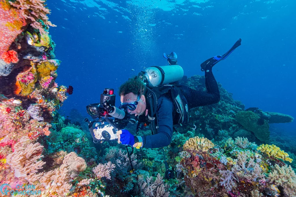 North Halmahera Diving Expedition 8 image 6