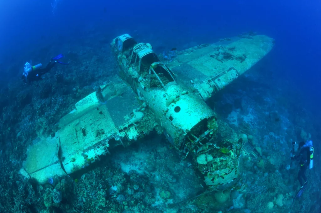 Diving Palau in the Low Season