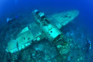 Diving Palau in the Low Season