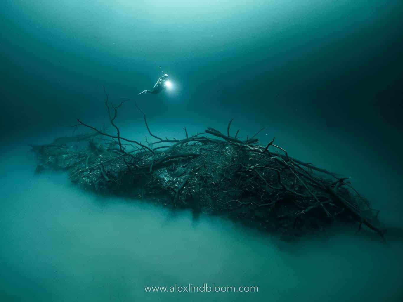 Cenote Angelita is one of the deepest cenotes in the Yucatan Peninsula. Cenote Angelita is one of the deepest cenotes in the Yucatan Peninsula.