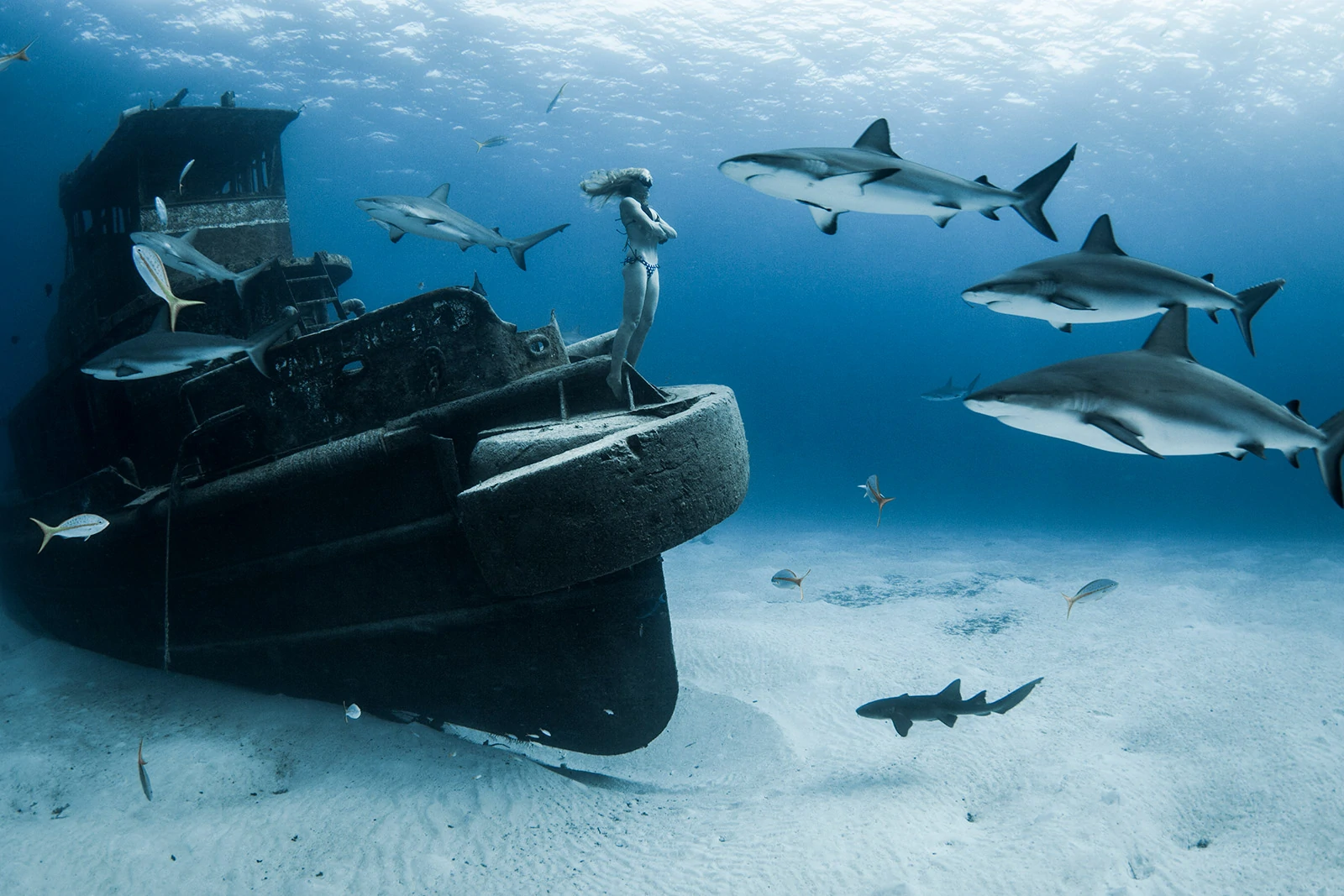 10 EPIC Underwater Freediving pictures by Lia Barrett 6 Lia Barrett 1