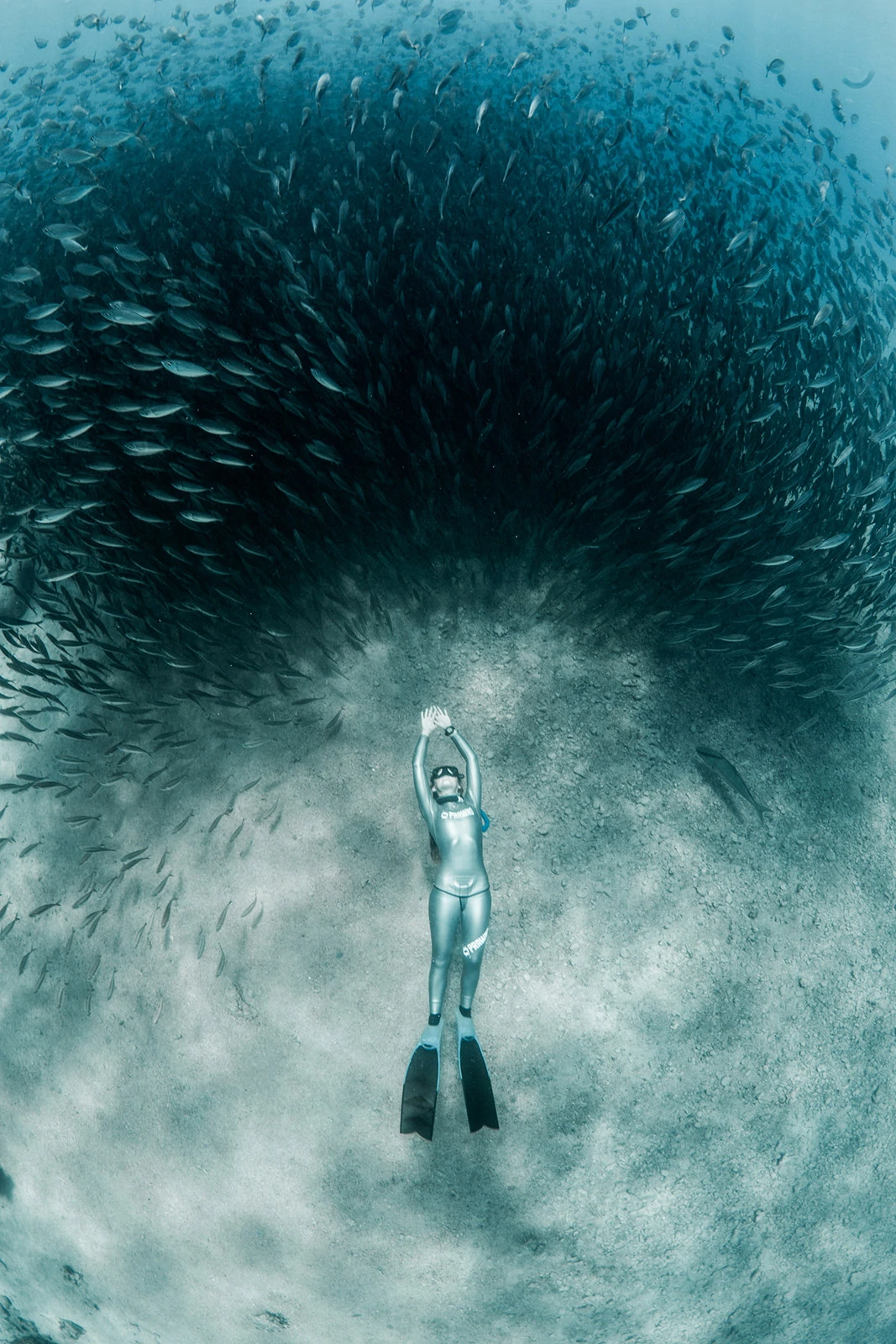 10 EPIC Underwater Freediving pictures by Lia Barrett 7 Lia Barrett 7
