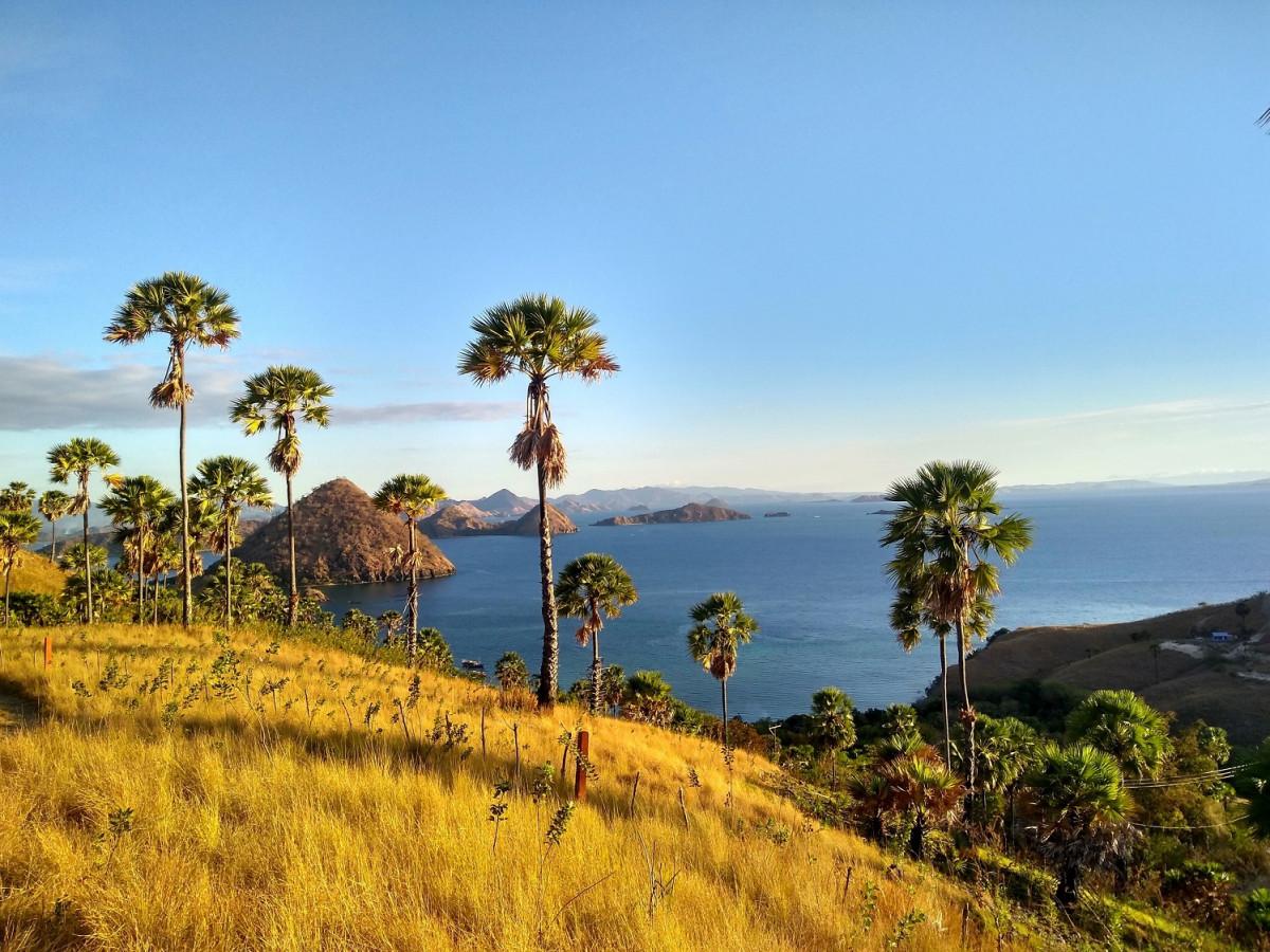 One of the Best Dive Destinations in the world