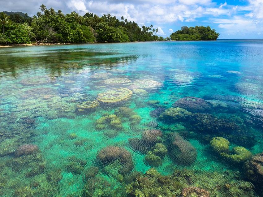 Papua New Guinea - The 5 Must-Visit Dive Resorts