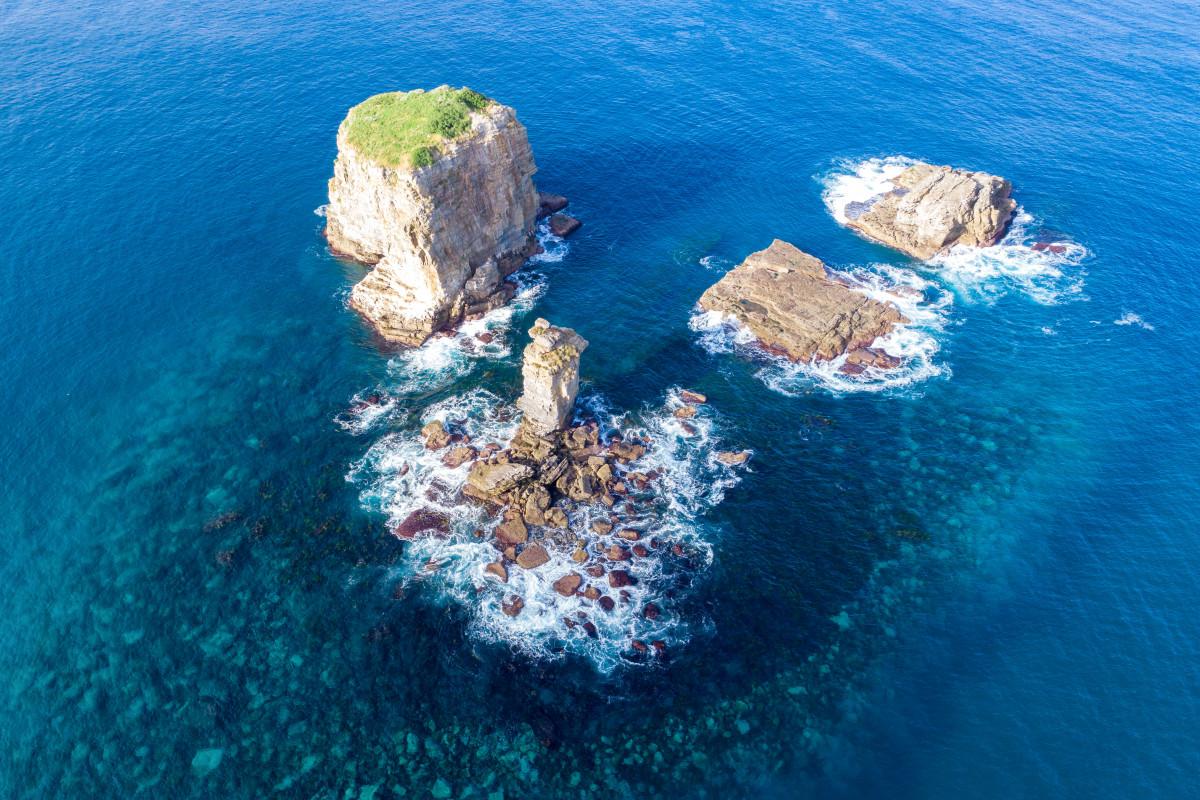 The Top of the Drumstick Scale