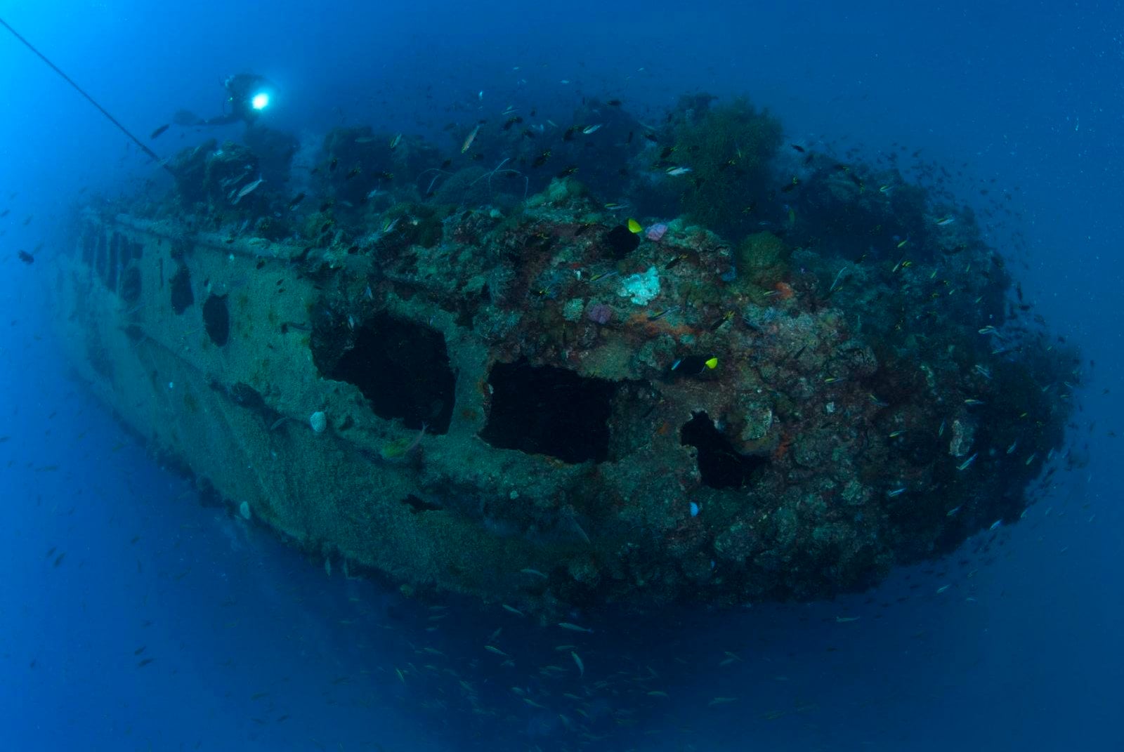 A Guide to Some of Australia's Best Dive Sites