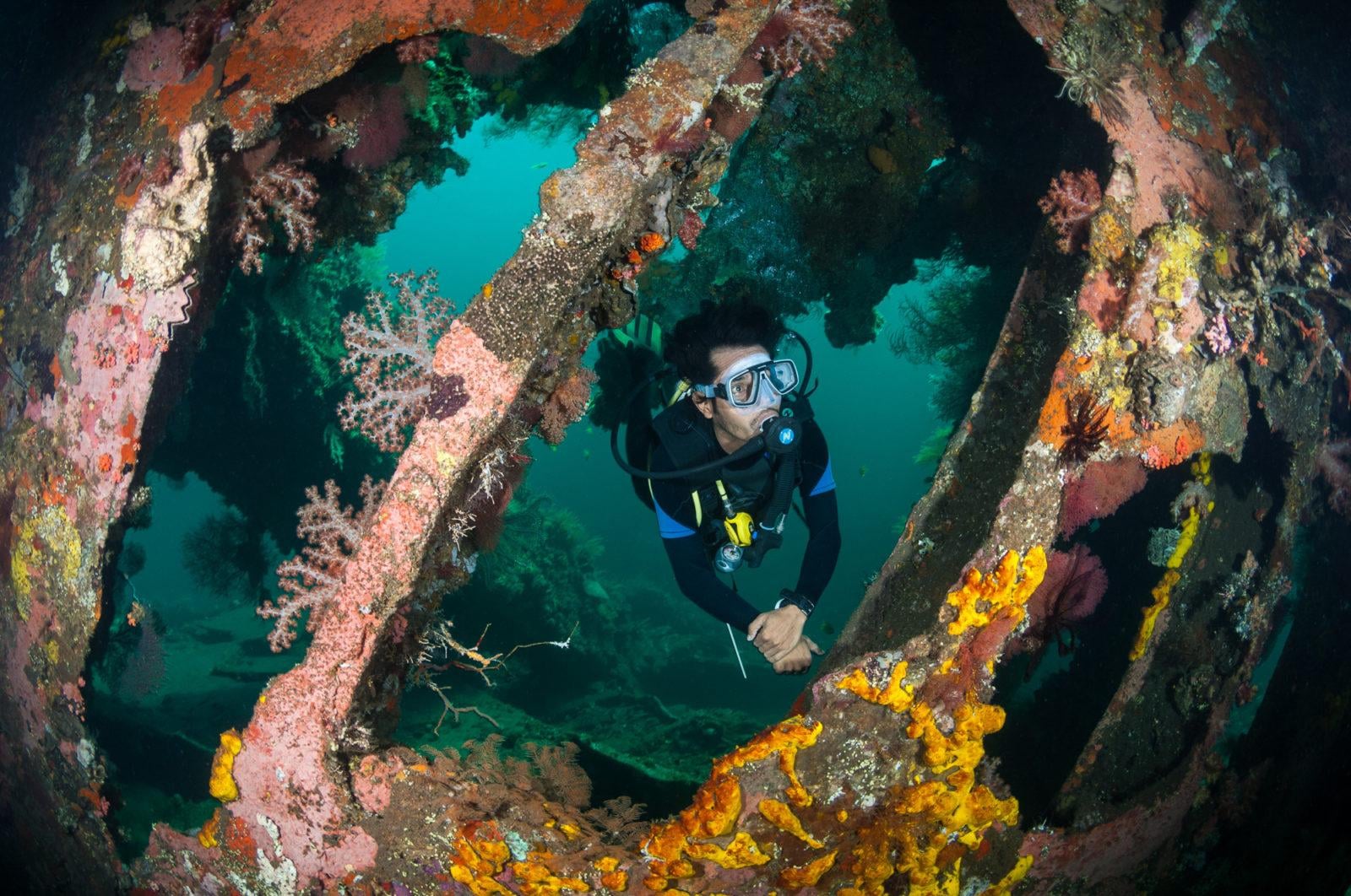 Bali vs Lombok Diving