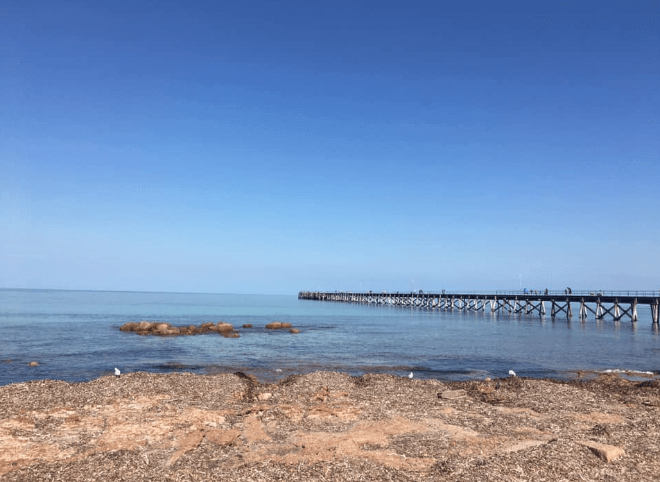 Stunning Scuba Diving in South Australia 4 Port Hughes Jetty
