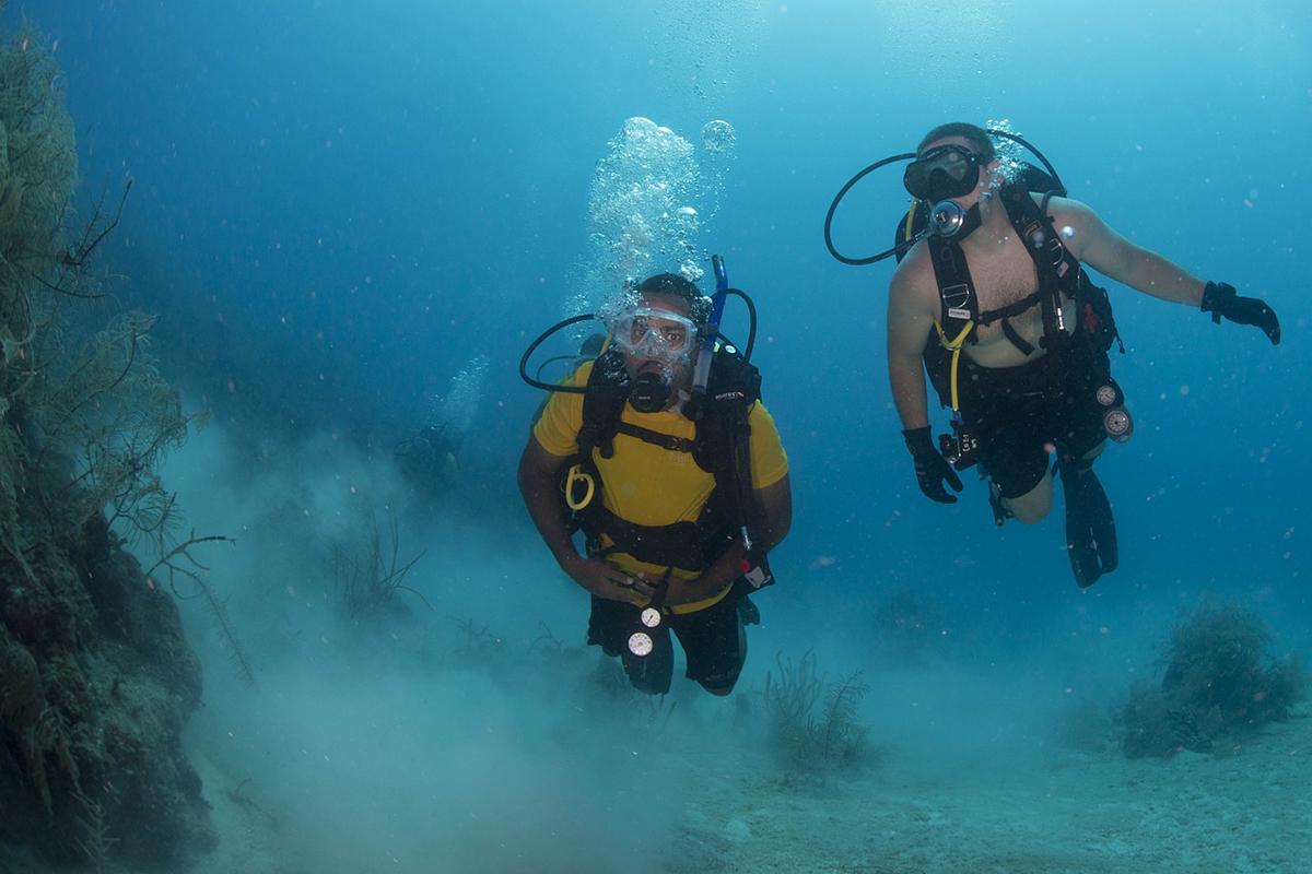 7 Essential Scuba Diving Tips for Beginners 6 Dive Buddy