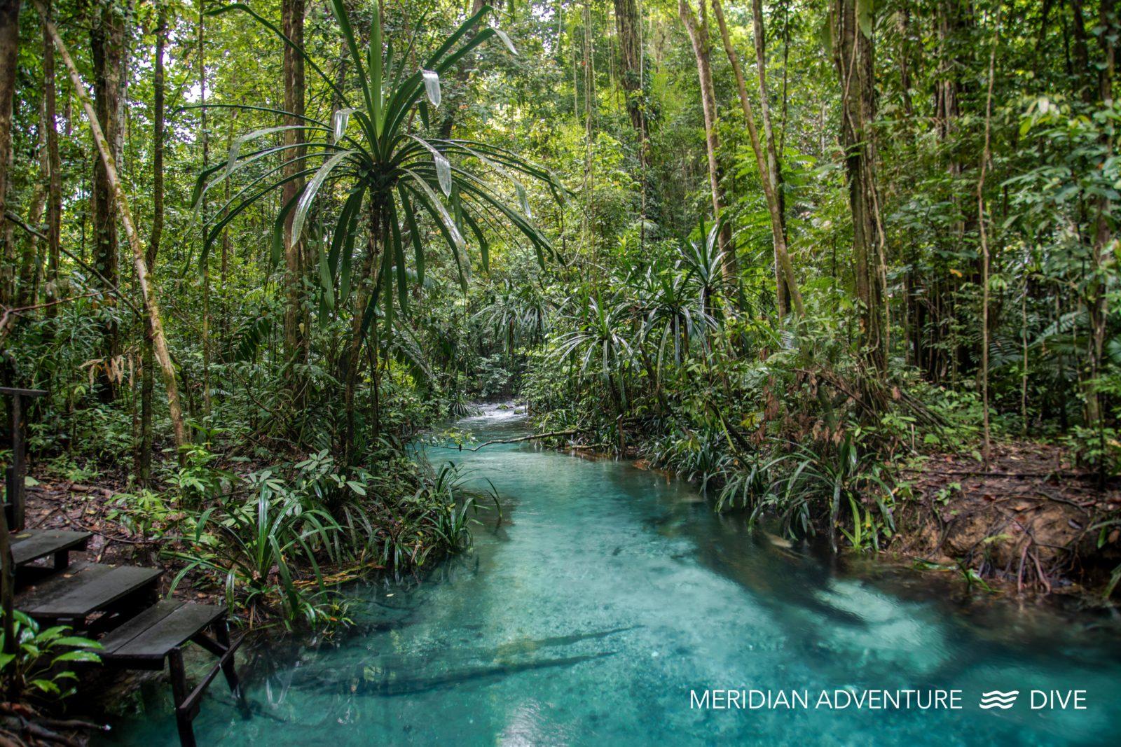 Discover Amazing Diving in Raja Ampat. 1 Diving in Raja Ampat - Meridian Adventure Dive