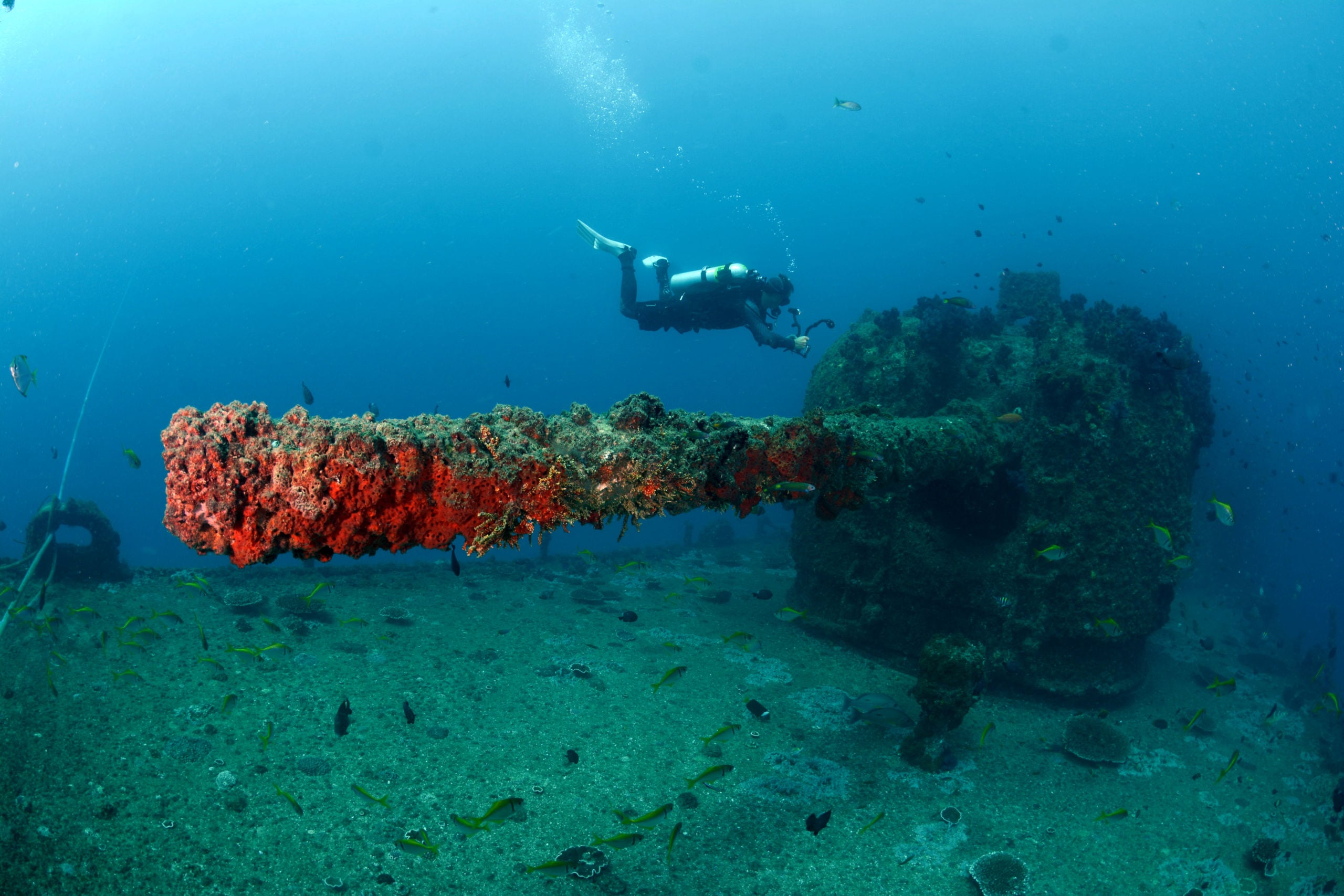 Breathtaking Ex HMAS Brisbane Trip report