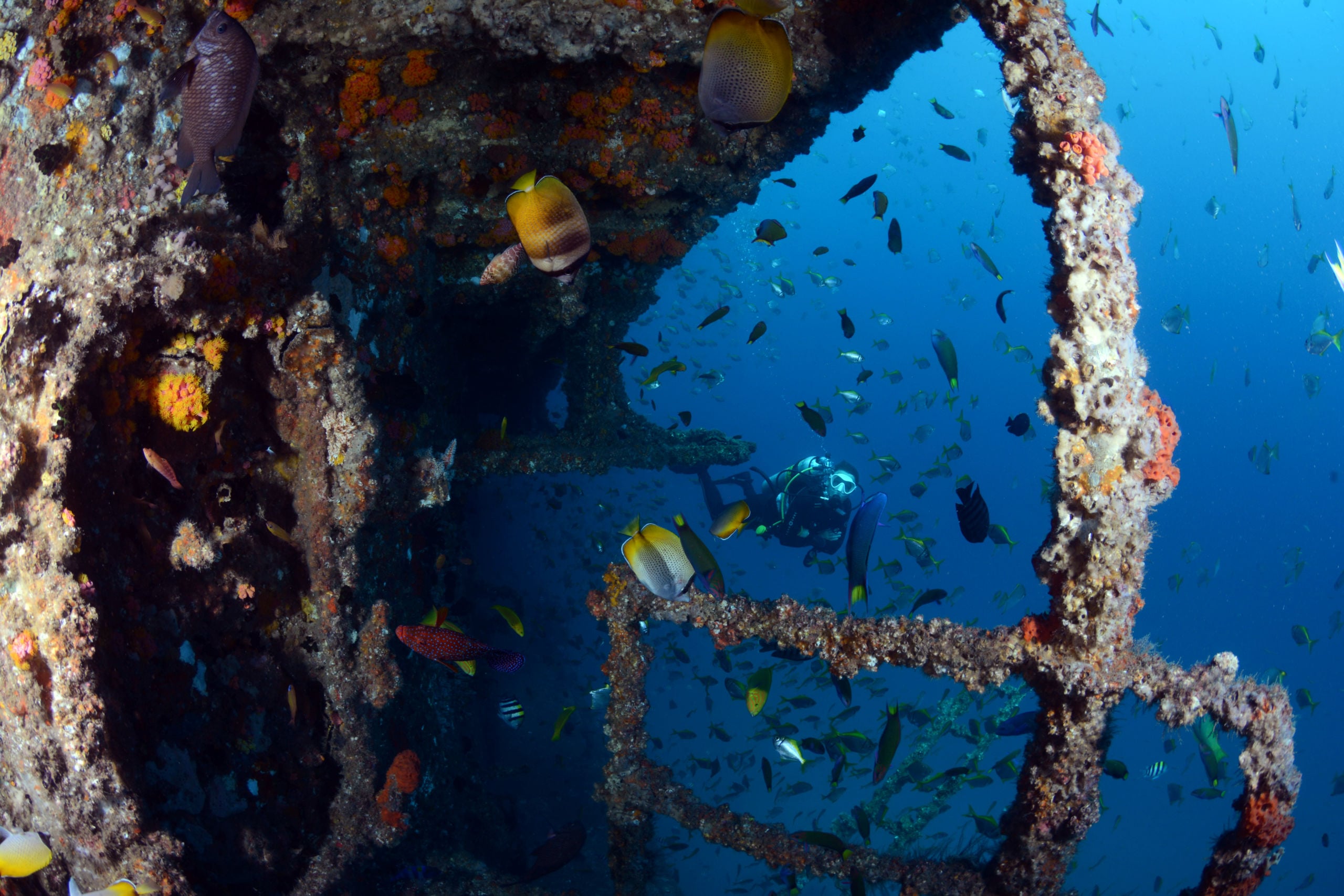 Breathtaking Ex HMAS Brisbane Trip report