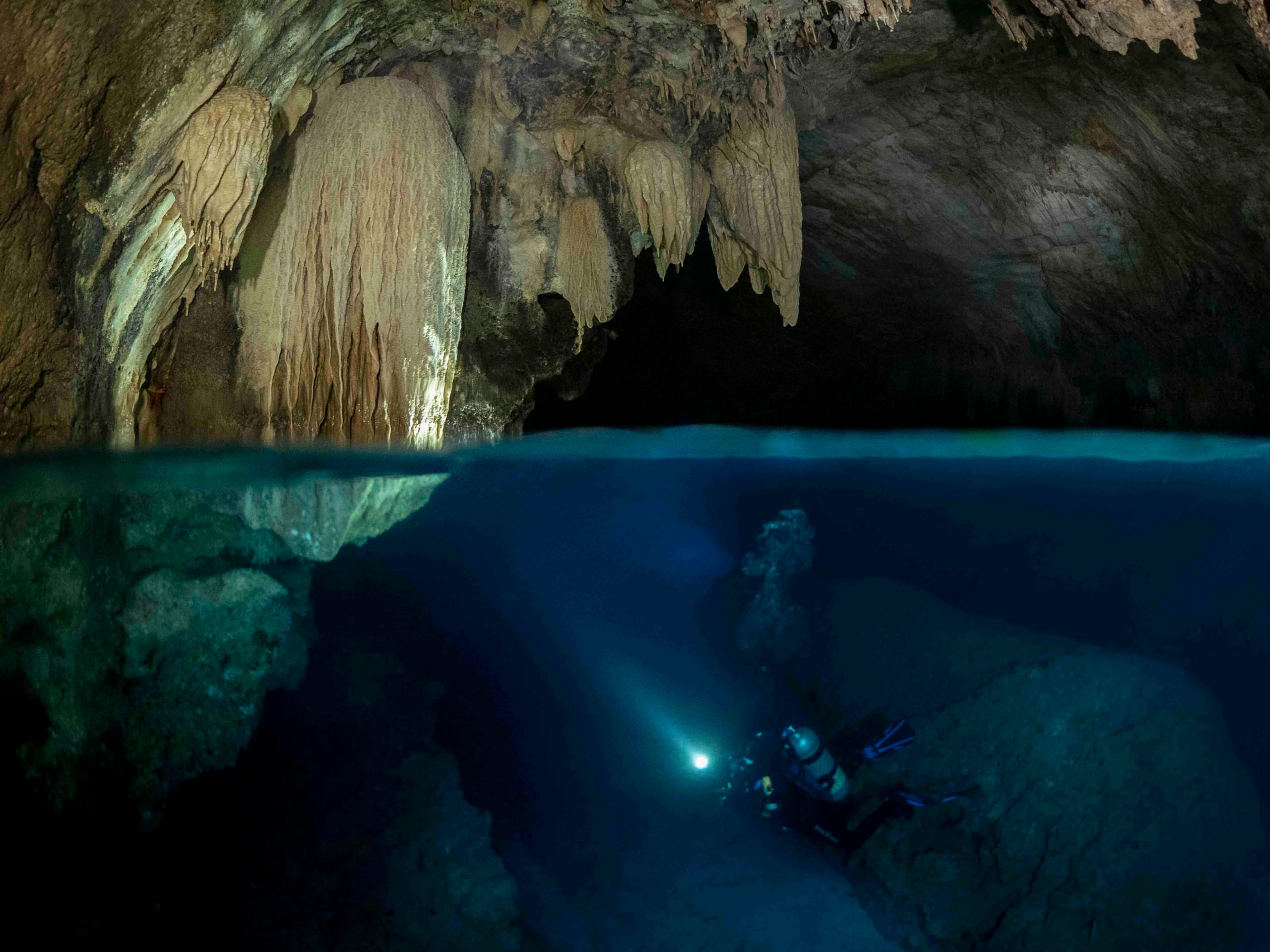 Christmas Island Diving Australia’s Galapagos