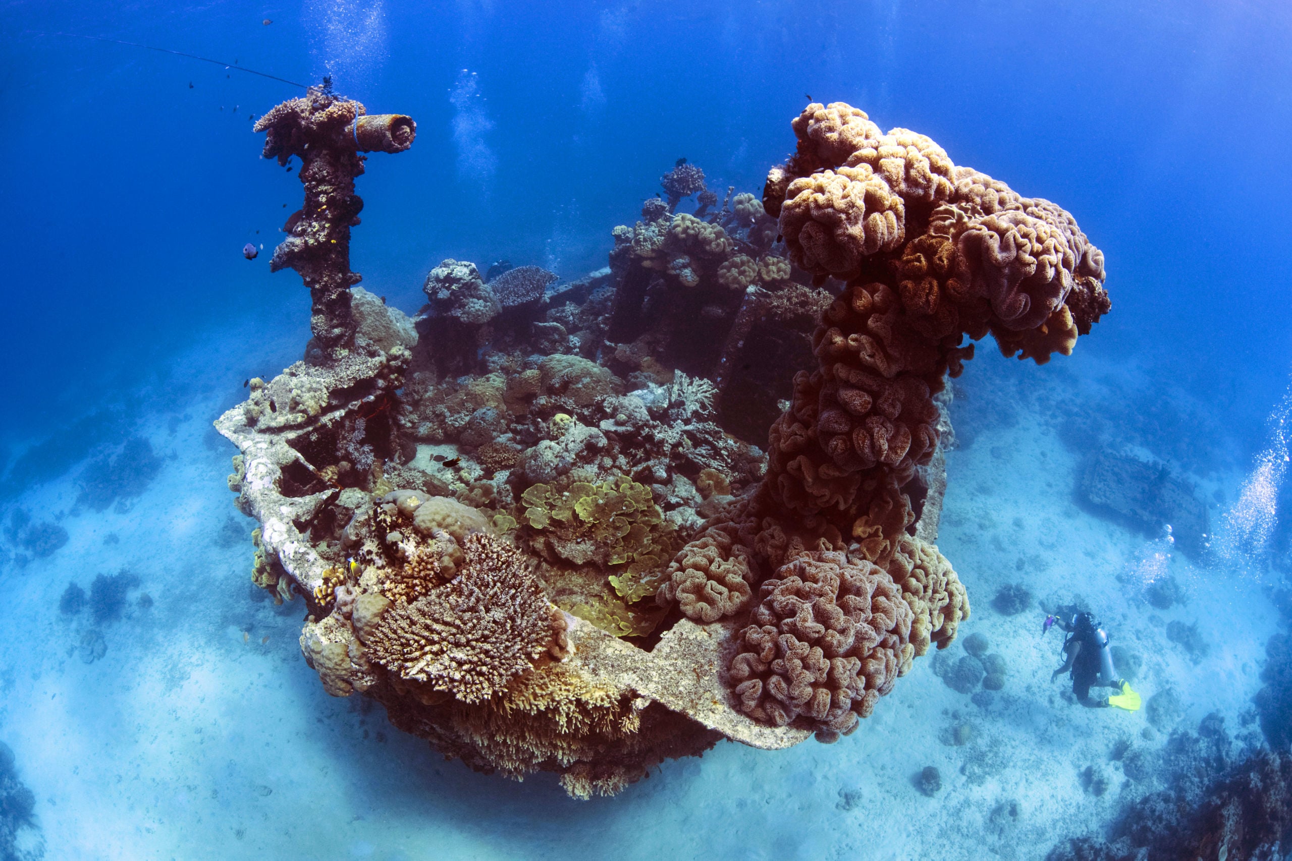 Small Shipwreck by Dyun Depasupil