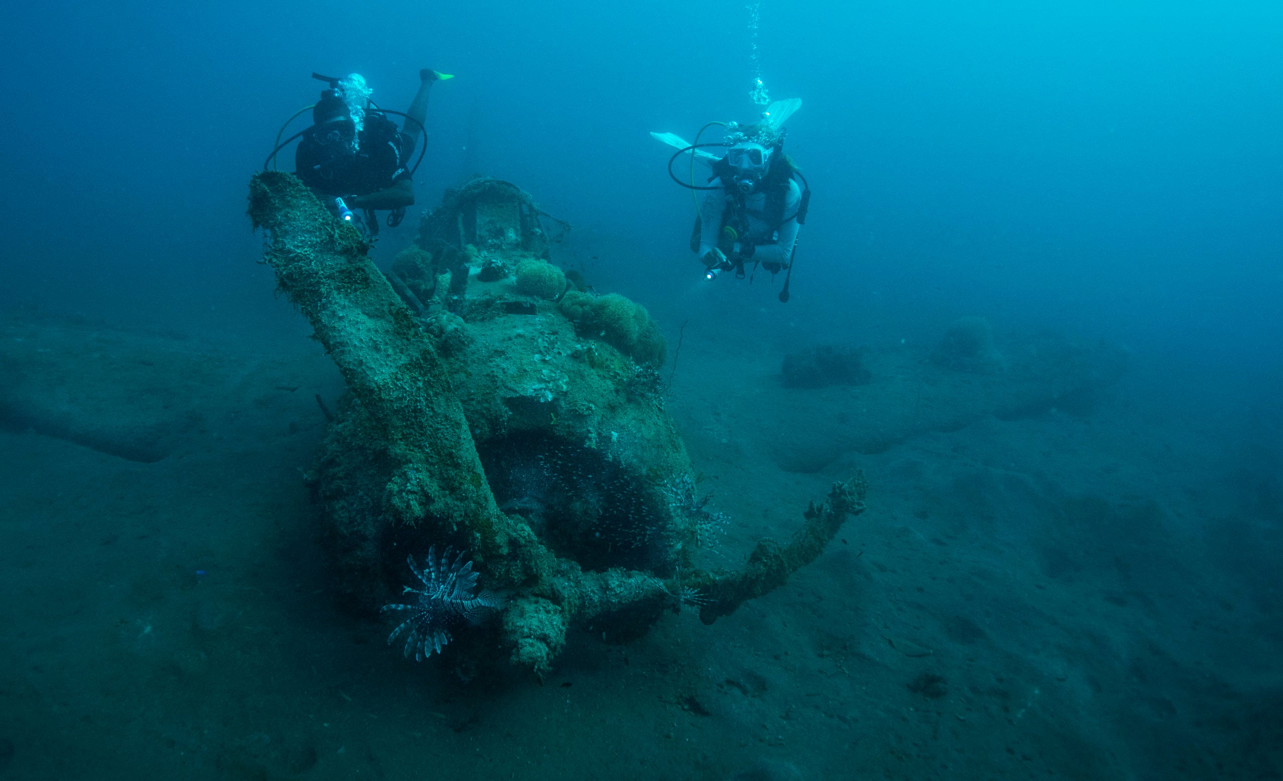 Sensational Solomon Island