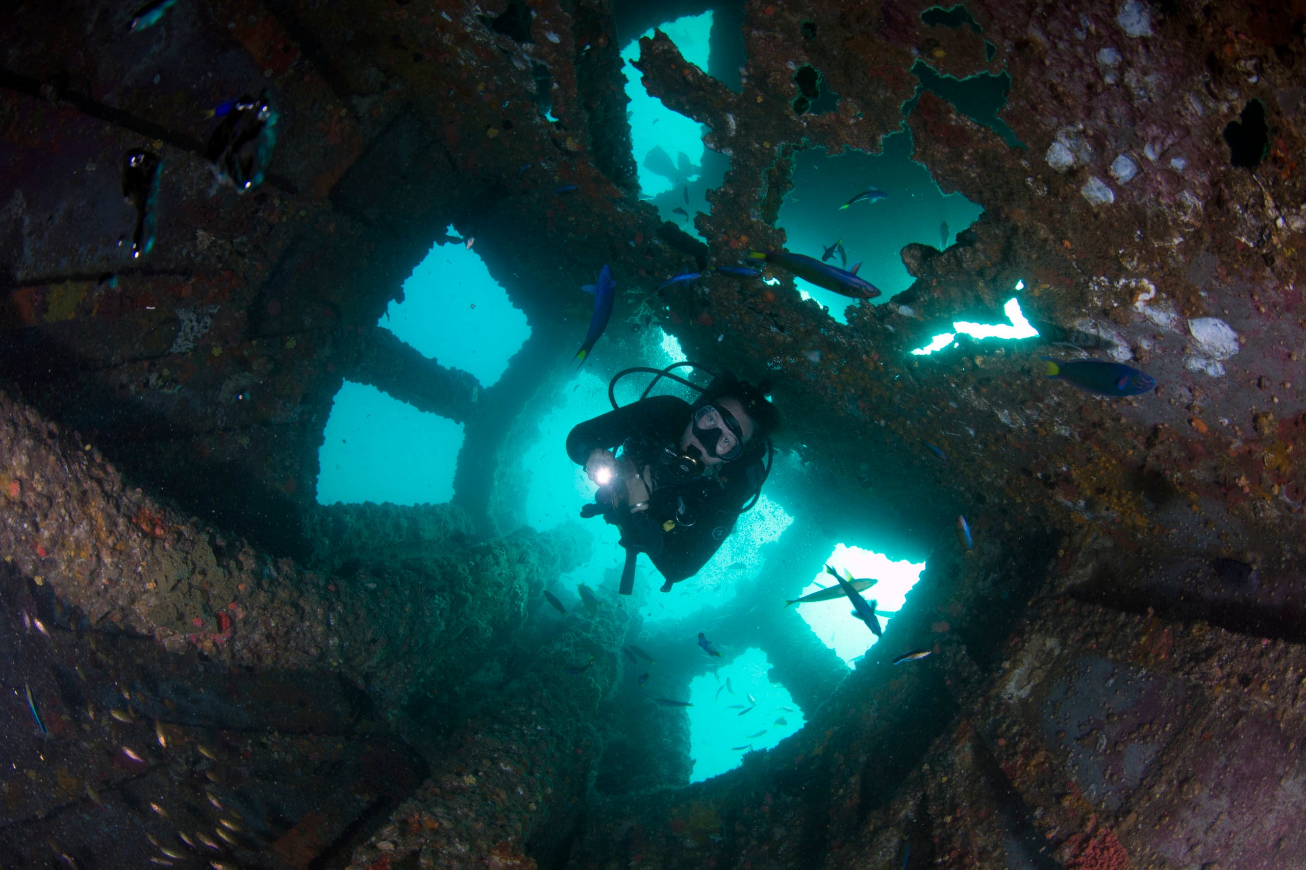Fantastic EX-HMAS Brisbane