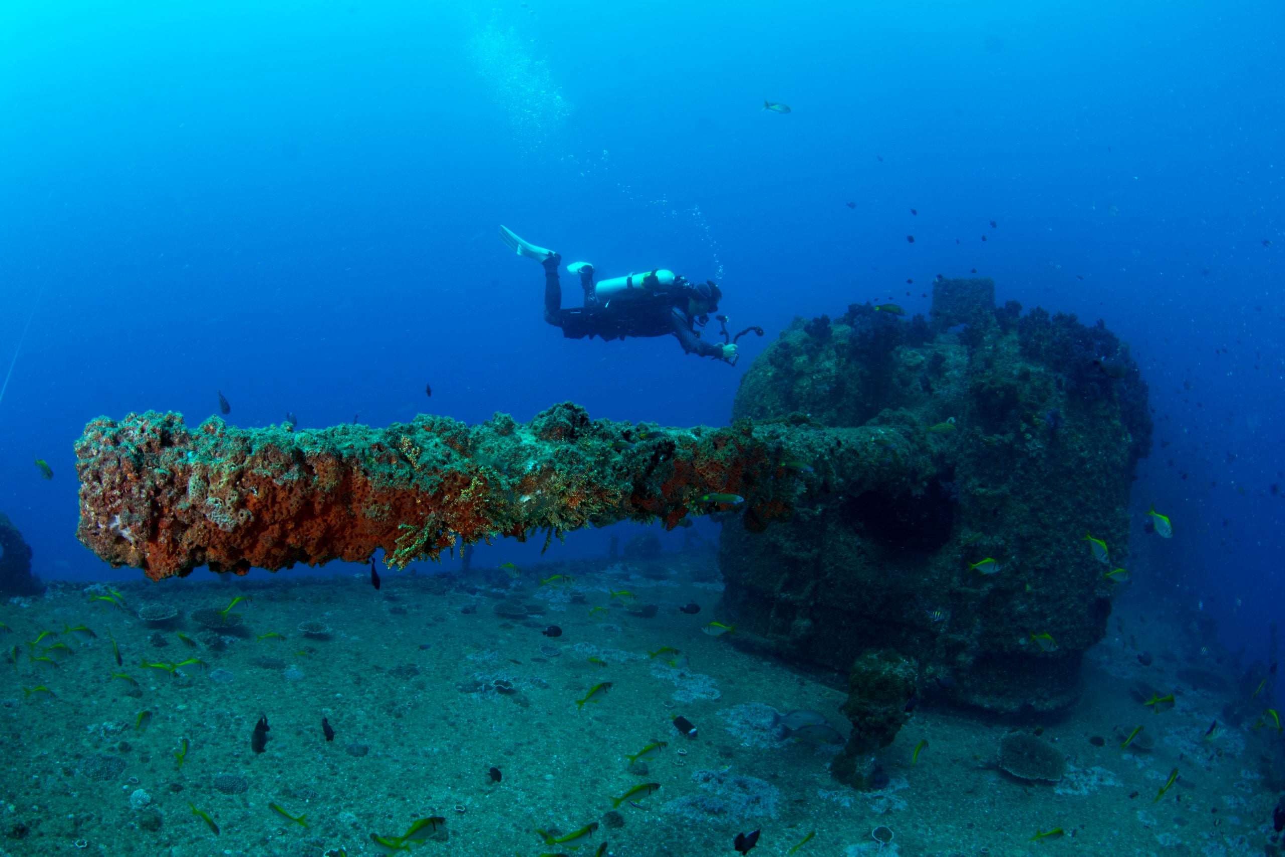 Fantastic EX-HMAS Brisbane