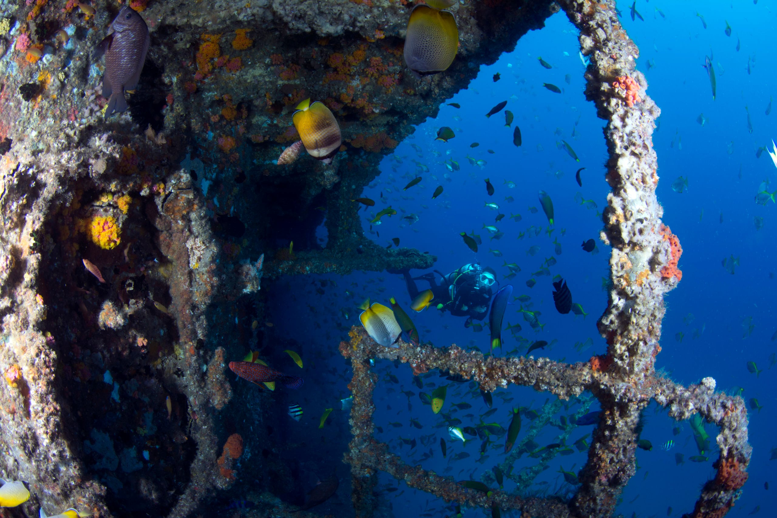 Fantastic EX-HMAS Brisbane