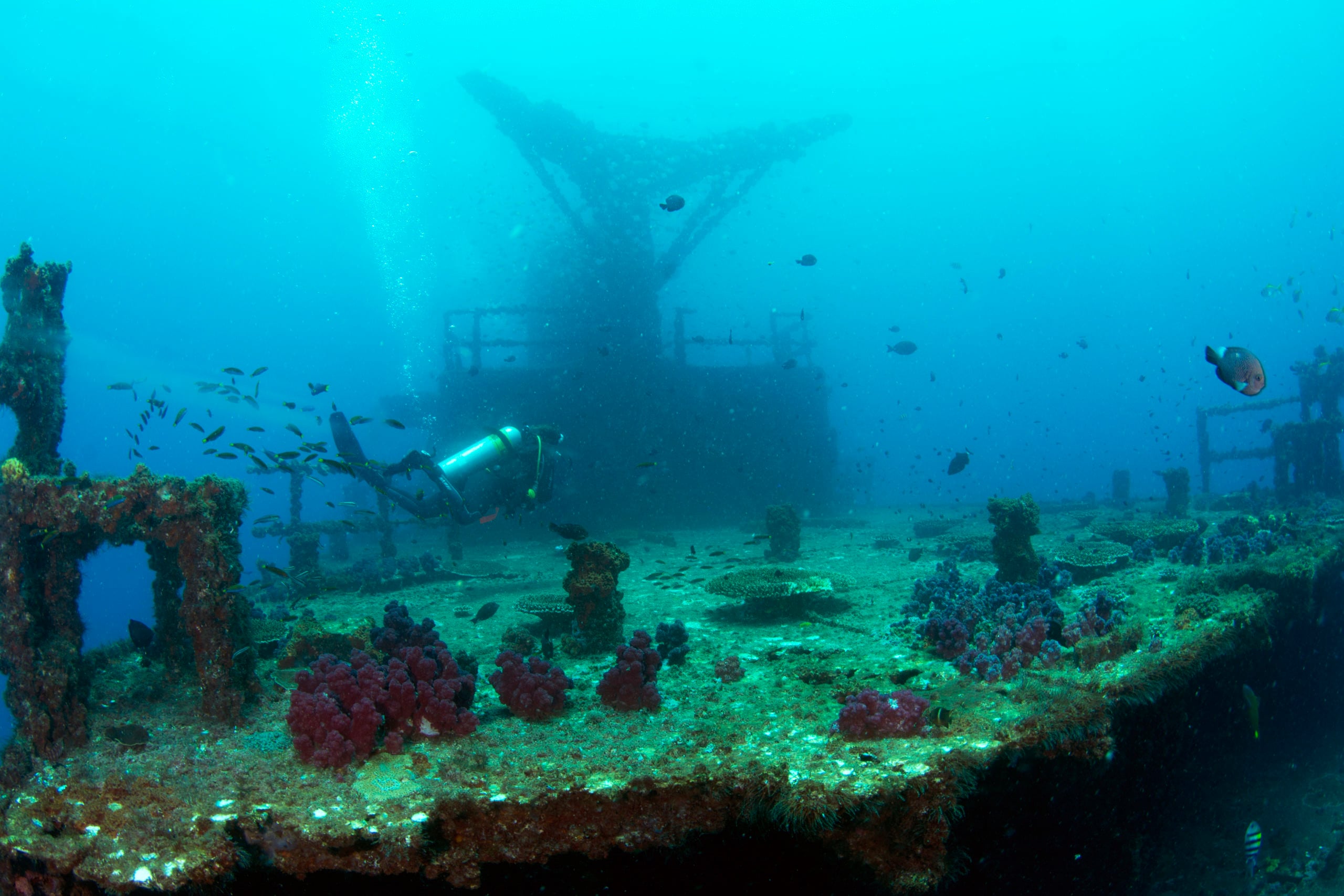 Fantastic EX-HMAS Brisbane