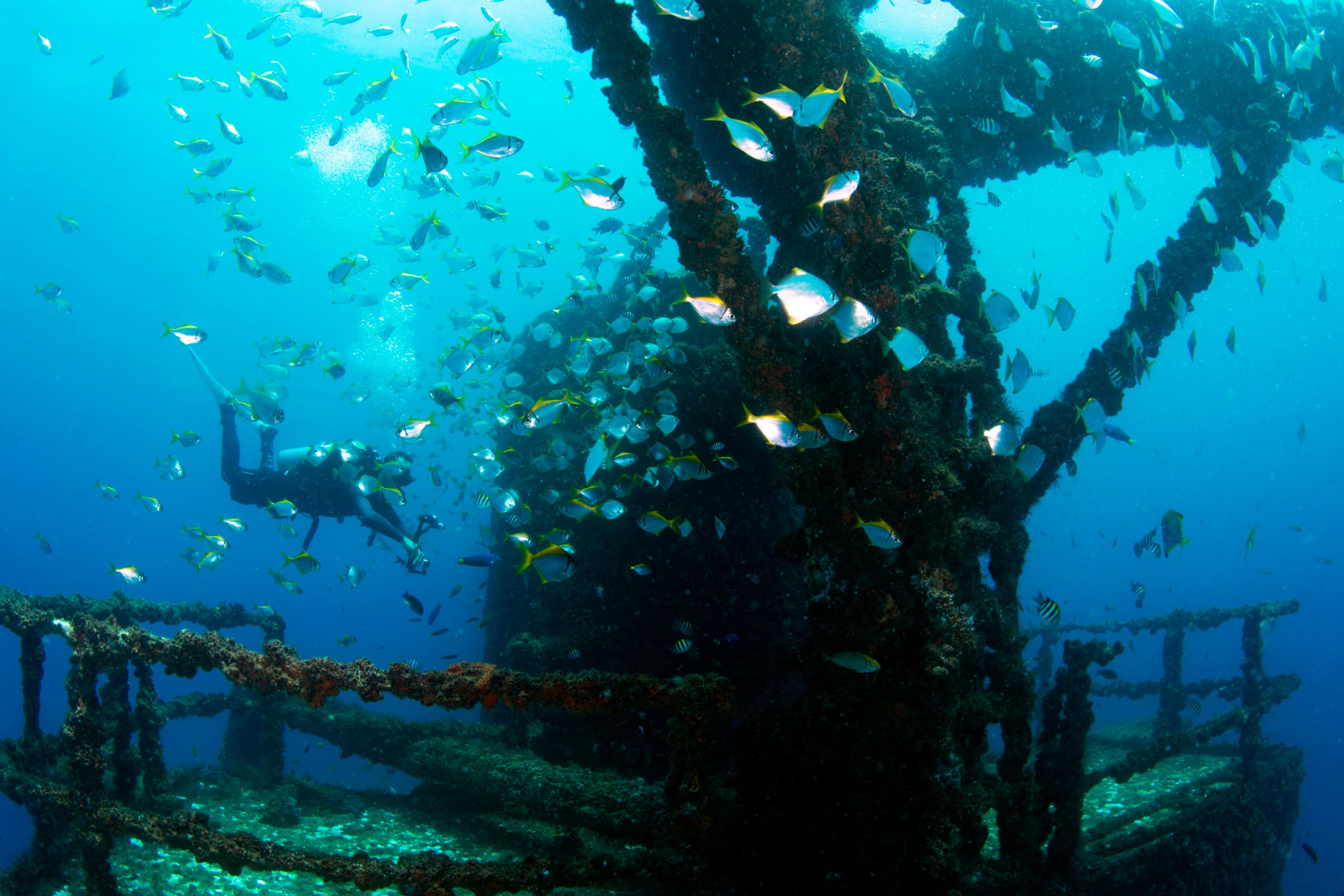 Fantastic EX-HMAS Brisbane