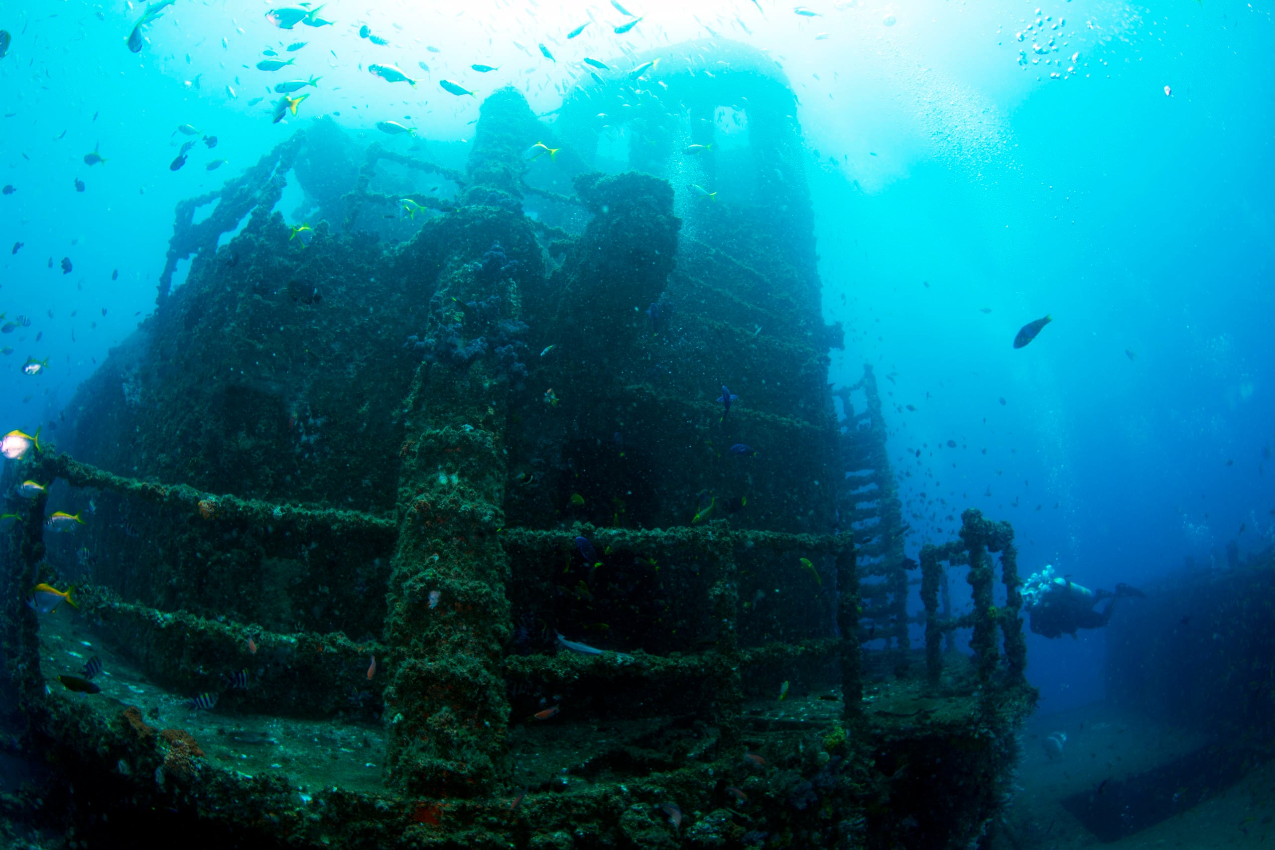 Fantastic EX-HMAS Brisbane