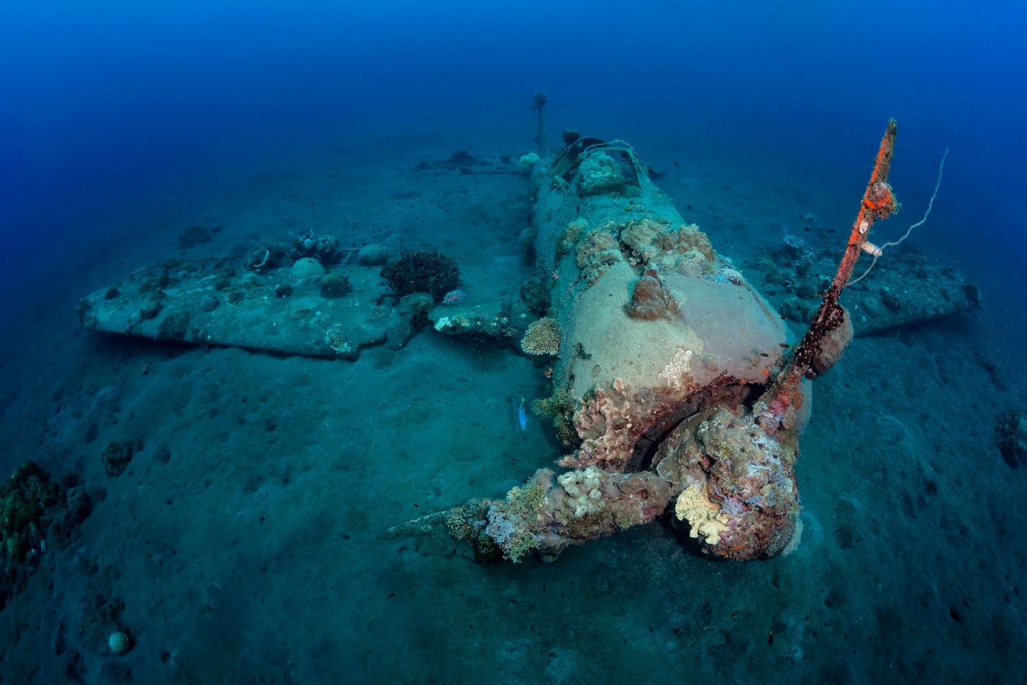 Breathtaking New Britain - Scuba Diving PNG