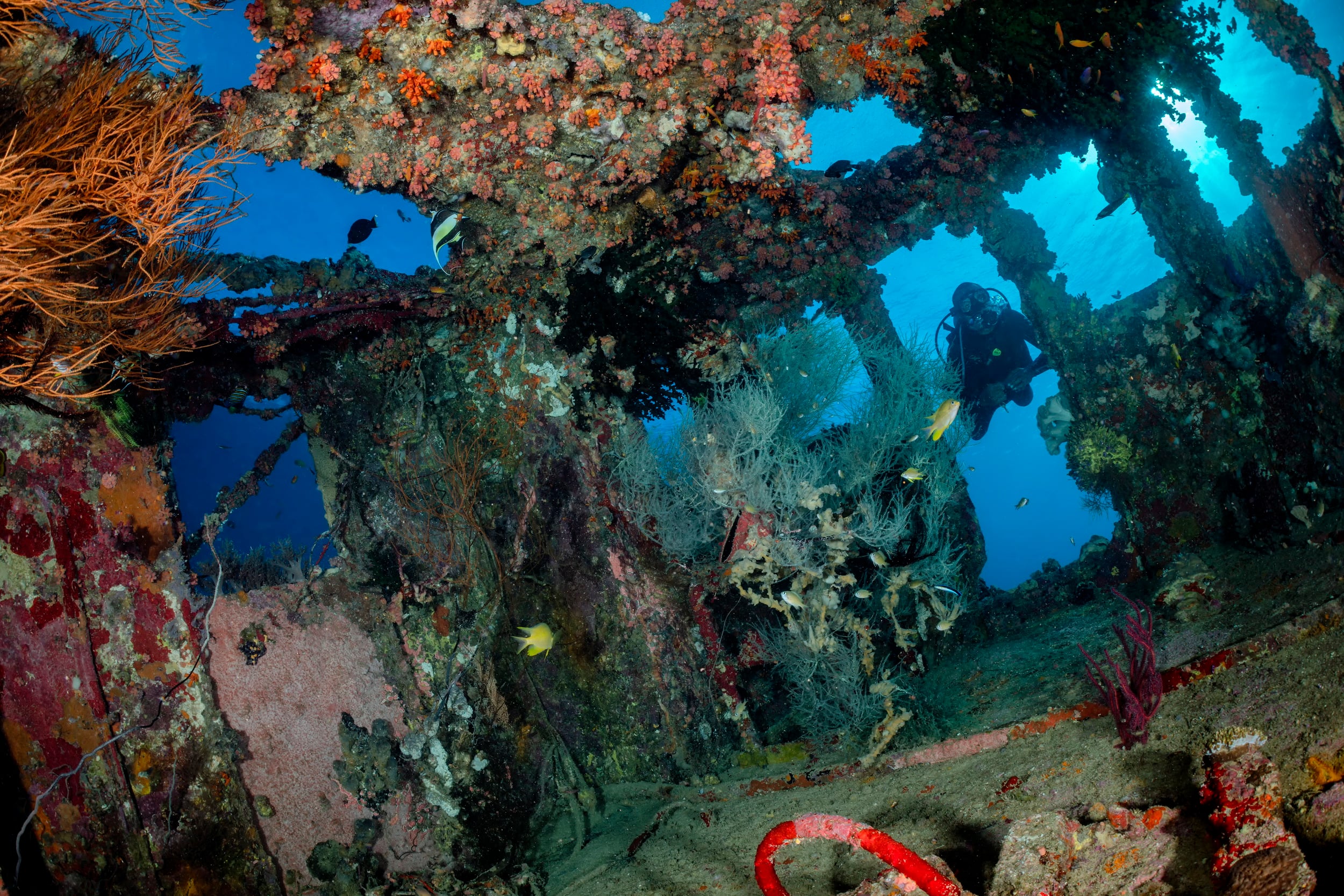 Breathtaking New Britain - Scuba Diving PNG