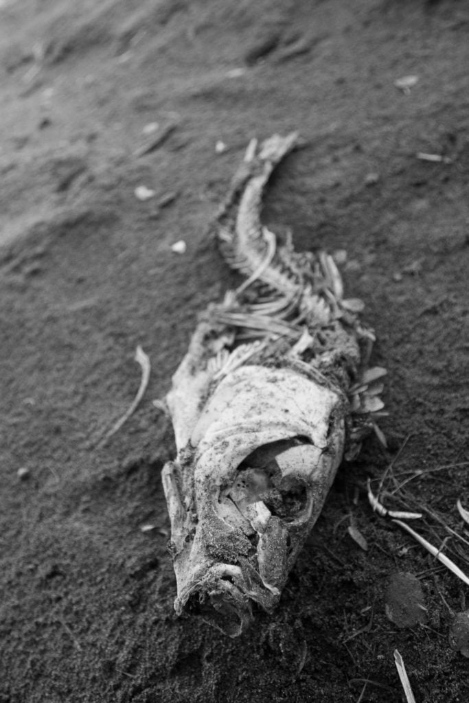 Destructive Dynamite Fishing in West Papua Marine Protected Area