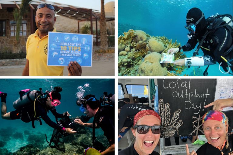 PADI Pillars of Change 1 PADI Pillars of Change