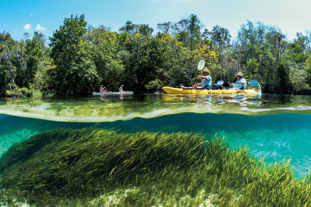 Spring Country - North Florida’s Fountains of Youth 4 Scuba Diving Florida