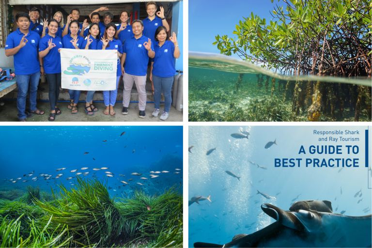 PADI Pillars of Change 2 PADI Pillars of Change