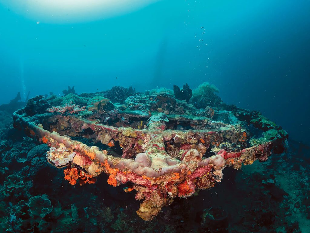 Best Places For Scuba Diving In The Philippines 4 Coron Kyokuzan Maru Gun Rack - Scuba Diving In The Philippines