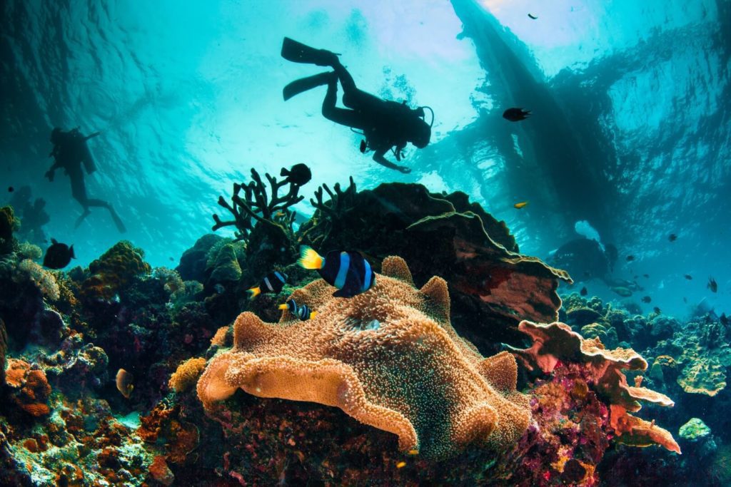 Best Places For Scuba Diving In Southeast Asia 1 Philippines - Scuba Diving In Southeast Asia