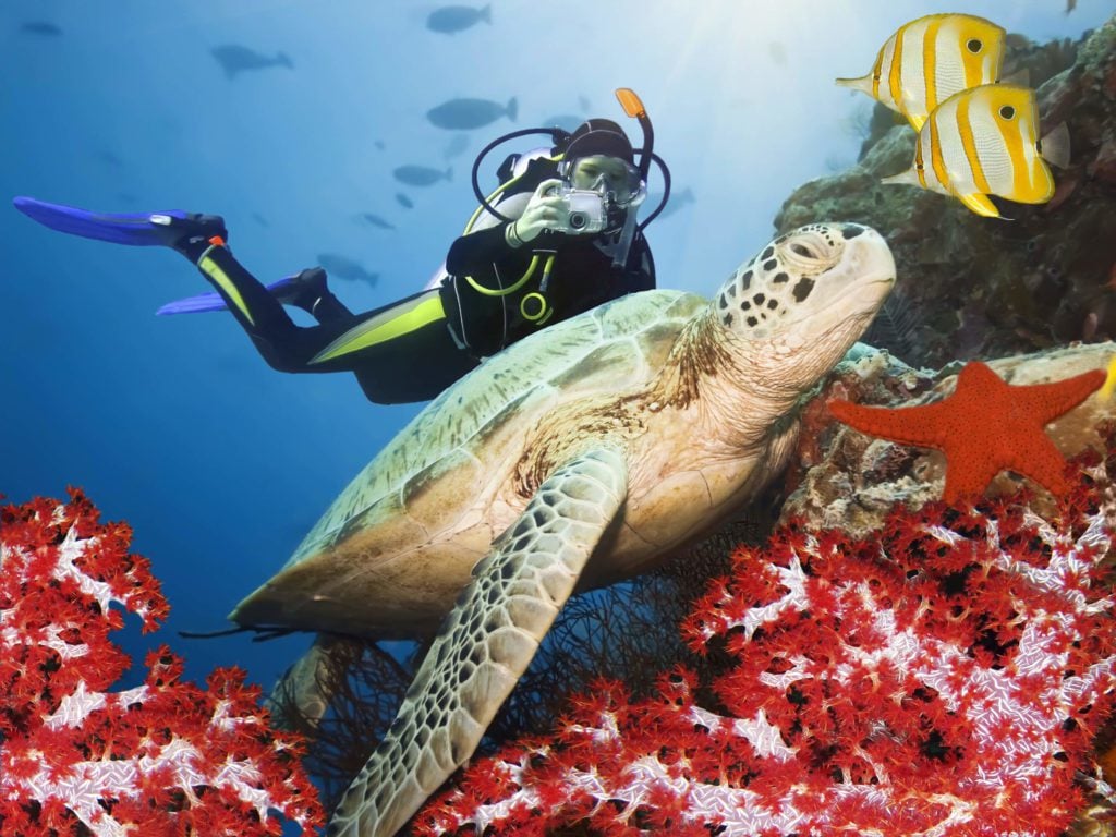 Scuba Diver in Control