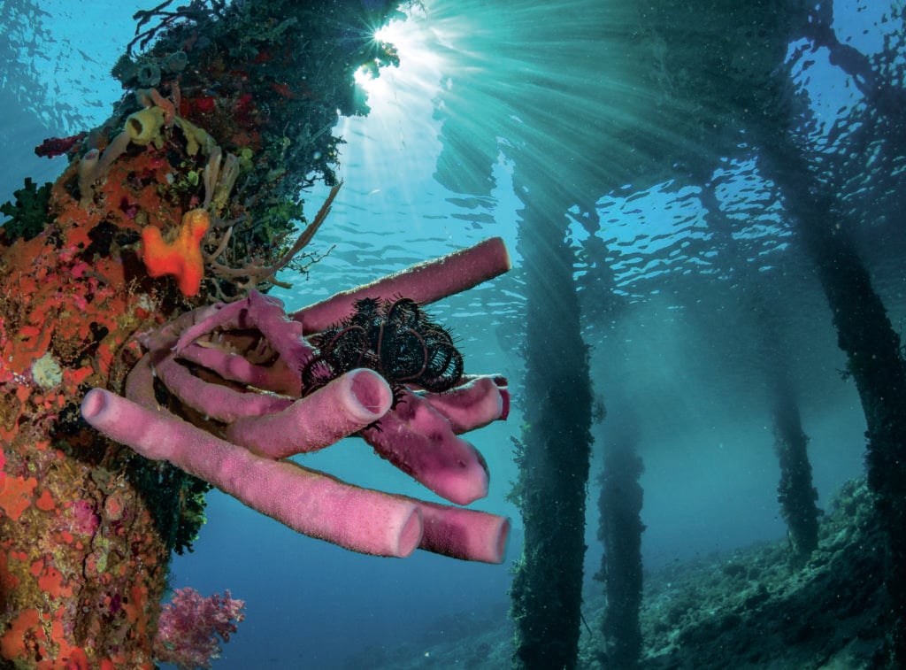 Photographs by Paul Duxfield