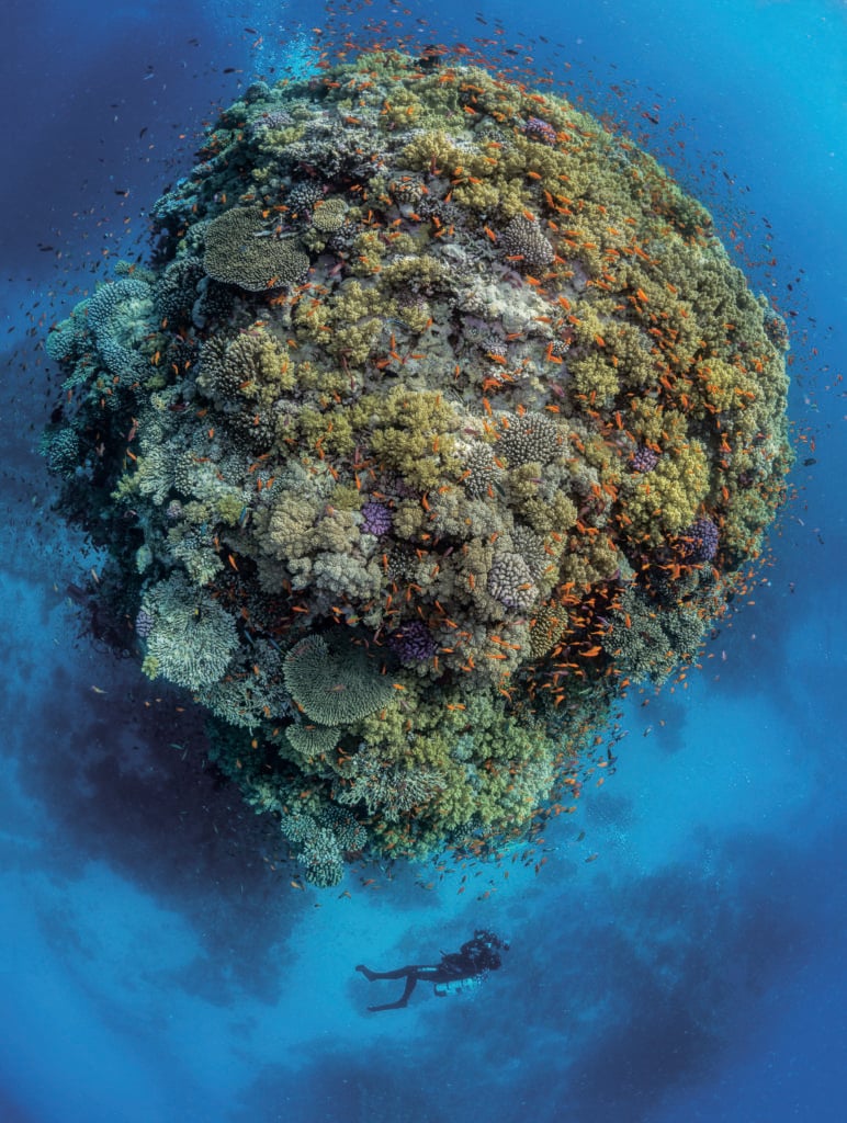 Top Down Pinnacle with Diver #5