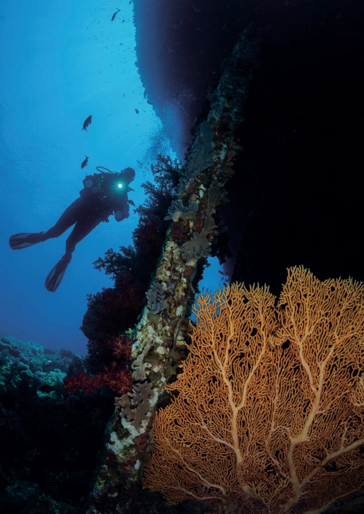 The stern of the Kingston, Egyptian Red Sea with multiple elements in the background.