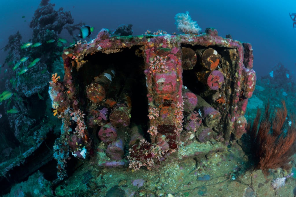 Shell cases remain intact on the wreck