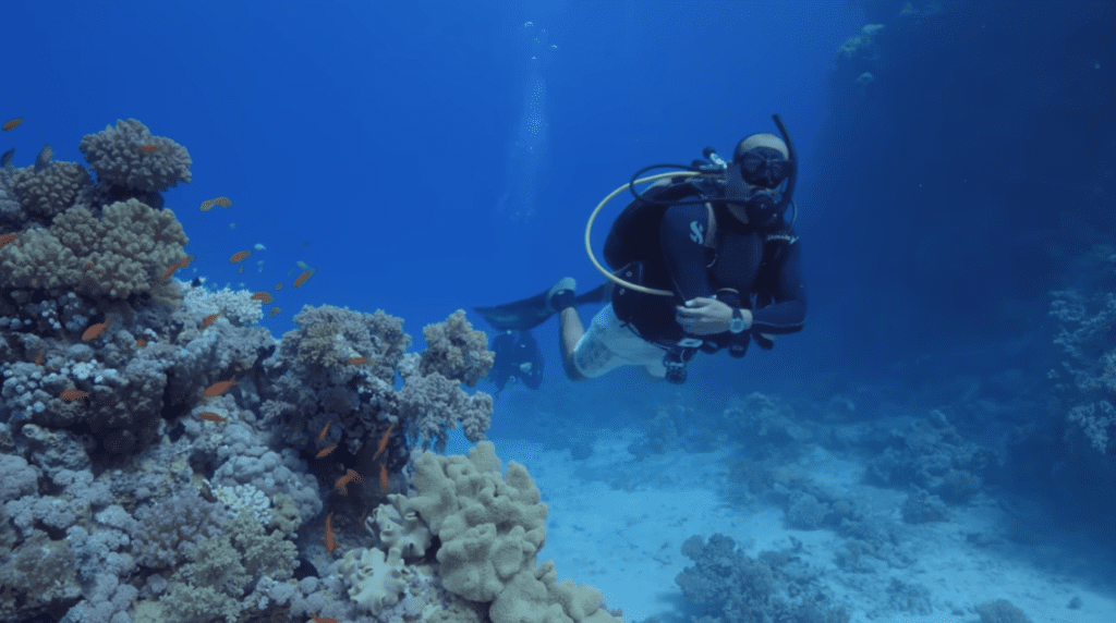 Top 10 Mistakes New Divers Make 11 Not Paying Attention To Your Surroundings
