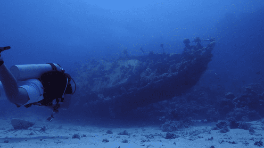 Top 10 Mistakes New Divers Make 7 Not Respecting Your Boundaries