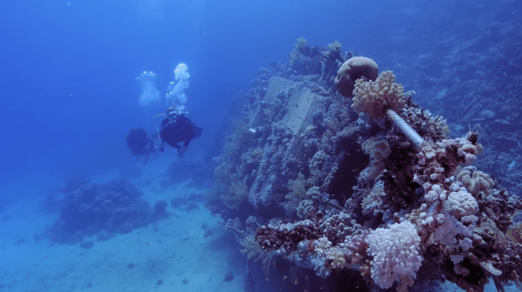 Top 10 Mistakes New Divers Make 8 Succumbing To Peer Pressure