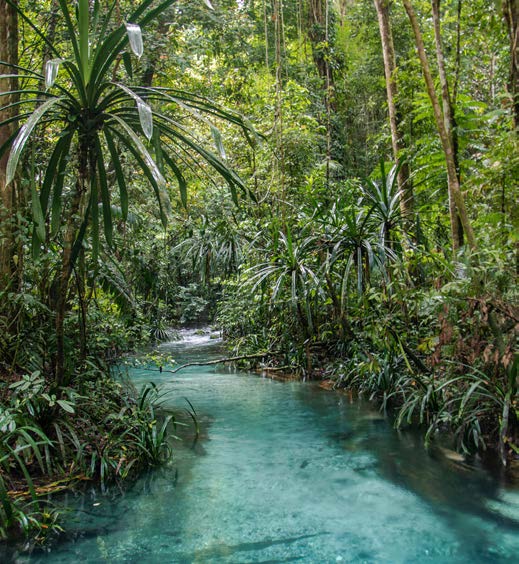 Raja Ampat Local Activities Guide